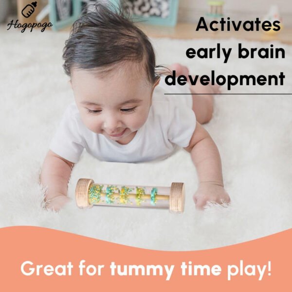 HOGOPOGO Rainmaker Rattle Toy for Babies (0–12 Months)